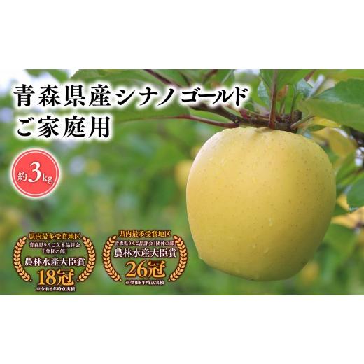 ふるさと納税 りんご 青森県 平川市 2026年5〜6月発送 家庭用シナノゴールド3kg そと川りんご園 hi-