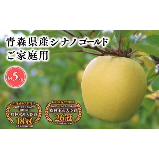 ふるさと納税 りんご 青森県 平川市 2026年5〜6月発送 贈答用シナノゴールド5kg そと川りんご園 hi-