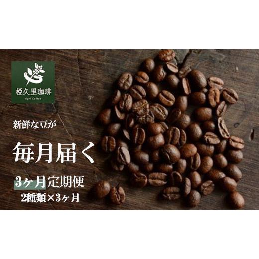 ふるさと納税 コーヒー コーヒー粉 福島県 福島市 No.3153 粉 椏久里珈琲スペシャルティコーヒー3ヶ月定期便 3ヶ月 粉