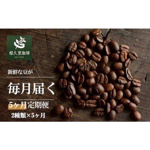 ふるさと納税 コーヒー コーヒー豆 福島県 福島市 No.3152 粉 椏久里珈琲スペシャルティコーヒー5ヶ月定期便 5ヶ月 粉