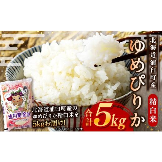 ふるさと納税 米 ゆめぴりか 北海道 浦臼町 [ 令和8年産 ] 浦臼産ゆめぴりか 精白米 5kg × 1袋 お米 米 こめ コメ 白米 白飯 飯 ご飯 おにぎり 国産 北海道…