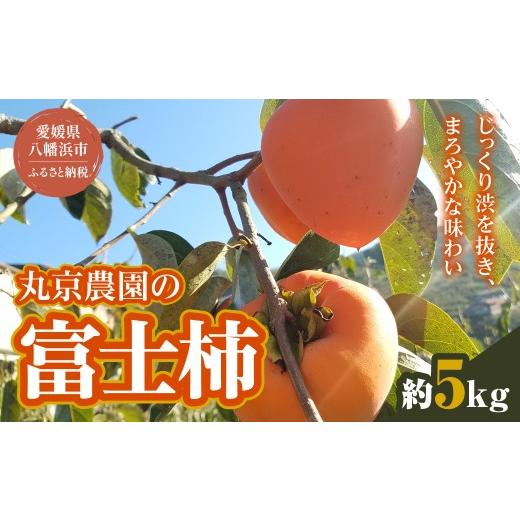 ふるさと納税 果物類 柿 愛媛県 八幡浜市 先行受付 丸京農園 の 富士柿 5kg C72-1 _ 柿 かき カキ フルーツ 果物 くだもの 青果 産地直送 産直 愛媛 常温 家…