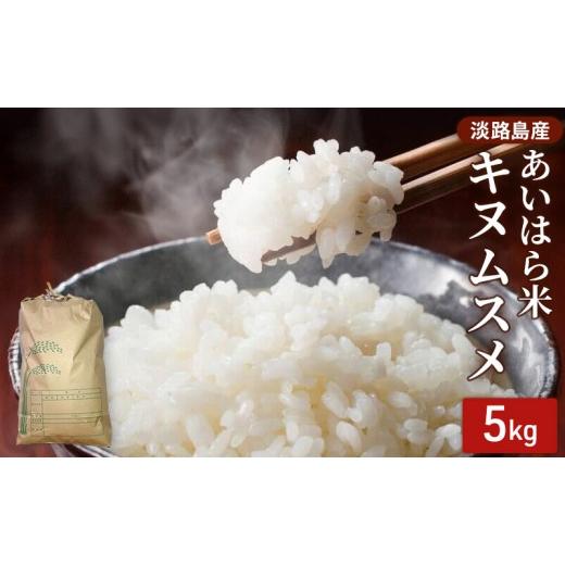 ふるさと納税 米 きぬむすめ 兵庫県 洲本市 淡路島産 あいはら米 キヌムスメ 5kg お米 白米 ブランド米 兵庫県 洲本市 淡路島