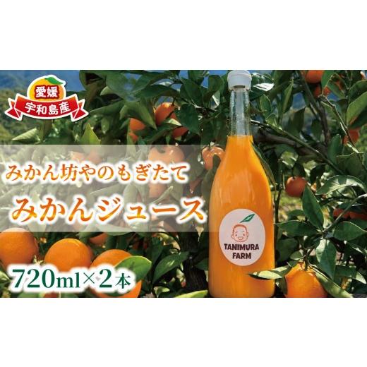 ふるさと納税 果汁飲料 みかん 愛媛県 宇和島市 みかん 坊や の もぎたて みかん ジュース 谷村農園 720ml × 2本 セット ストレートジュース 温州みかん みか…