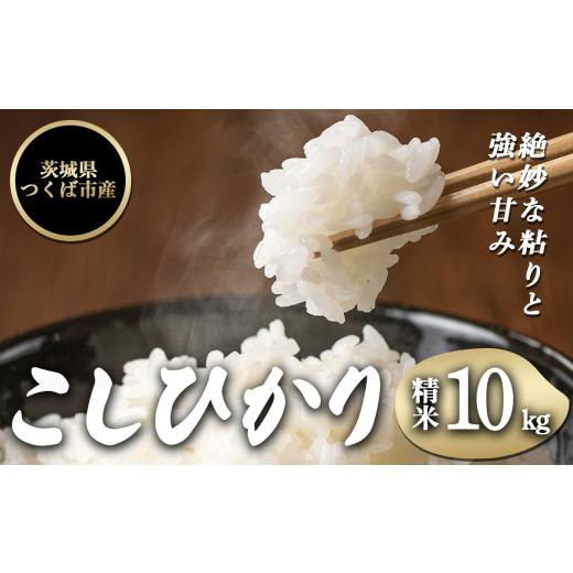 ふるさと納税 米 コシヒカリ 茨城県 つくば市 令和7年産 コシヒカリ 10kg │ 米 こめ ご飯 白米 精米 こしひかり 2025年産 茨城県産 茨城県 つくば市
