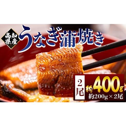 ふるさと納税 うなぎ 高知県 香南市 うなぎ 国産 蒲焼 200g 2尾 真空パック タレ 付き 冷凍 フジ物産株式会社高知支店 高知県 香南市 鰻 ウナギ 蒲焼き うなぎ…