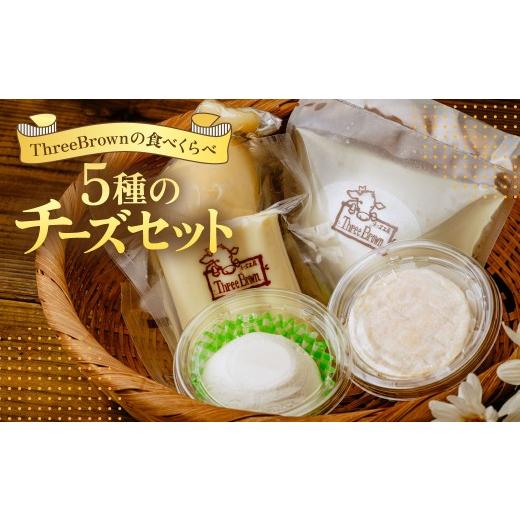 ふるさと納税 加工品等 チーズ 群馬県 前橋市 チーズ お試しチーズ5種セット | チーズ セット チーズ詰め合わせ チーズ 工房 モッツァレラ カチョカバロ 珍し…