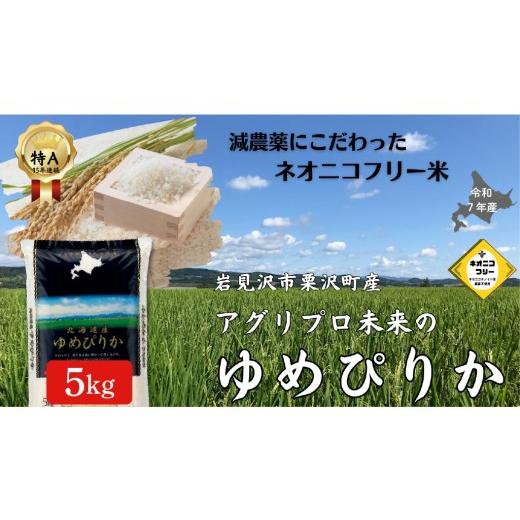 ふるさと納税 米 ゆめぴりか 北海道 岩見沢市 令和7年産 アグリプロ未来のゆめぴりか 5kg a178-001 北海道 岩見沢市 北海道産 お米 米 精米 白米 ご飯 ごはん …
