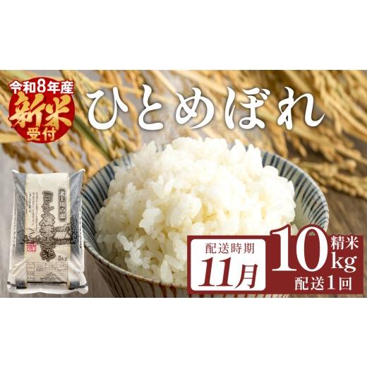 ふるさと納税 米 ひとめぼれ 宮城県 石巻市 先行予約 11月配送 令和 8年産 ひとめぼれ 精米 10kg(5kg×2)単品 こめ コメ お米 ご飯 白米 ヒトメボレ 特別栽…