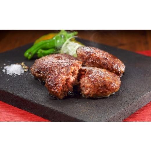 ふるさと納税 肉 ハンバーグ 鳥取県 米子市 大山物語 氷温?熟成鳥取和牛100%手造りハンバーグ ?島屋選定品