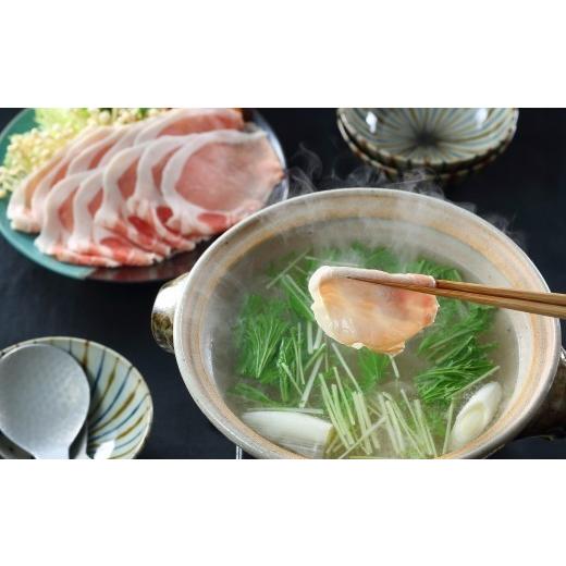 ふるさと納税 豚肉 ロース 鳥取県 米子市 大山物語 氷温?熟成大山豚しゃぶ鍋セット(3〜4人前) ?島屋選定品