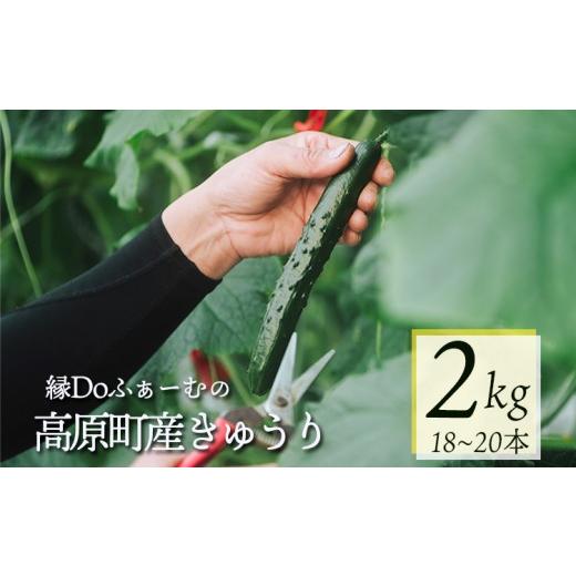 ふるさと納税 野菜類 宮崎県 高原町 宮崎県高原町産きゅうり2kg(18〜20本) 国産 九州産 サラダ お料理 ワンストップオンライン 10000円以下 TF0905-P0008…