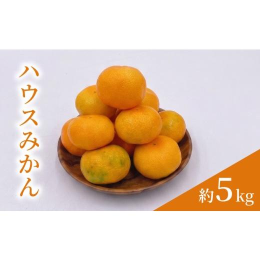 ふるさと納税 果物類 みかん 愛媛県 松山市 7月下旬頃から順次発送 ハウスみかん 5.0kg / 2S~Mサイズ 〇品 ご家庭用 | 愛媛県産 みかん 蜜柑 オレンジ 柑橘 …