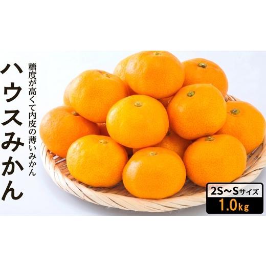 ふるさと納税 果物類 みかん 愛媛県 松山市 7月下旬頃から順次発送 ハウスみかん 2S~Sサイズ 1.0kg 化粧箱 秀品 (青秀以上) | 愛媛県産 みかん 蜜柑 オレンジ…