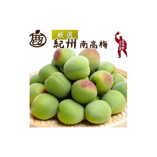 ふるさと納税 果物類 和歌山県 広川町 青梅 厳選 南高梅 15kg+250g(痛み補償分) / 梅 梅ジュース 梅酒 梅干し 高級 和歌山 5月~6月発送予定 北海道・沖縄・…