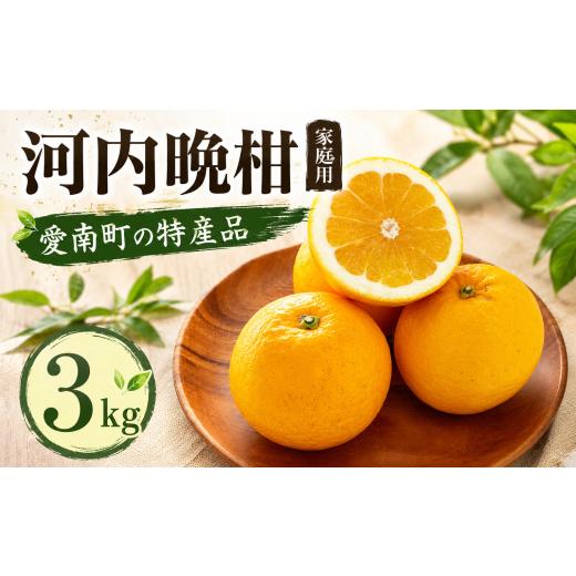 ふるさと納税 みかん・柑橘類 愛媛県 愛南町 家庭用 河内晩柑 3kg 河内晩柑 ばんかん 文旦 柑橘 愛媛 愛南 フジ・アグリフーズ 国産 フルーツ 果物 愛媛県 愛…