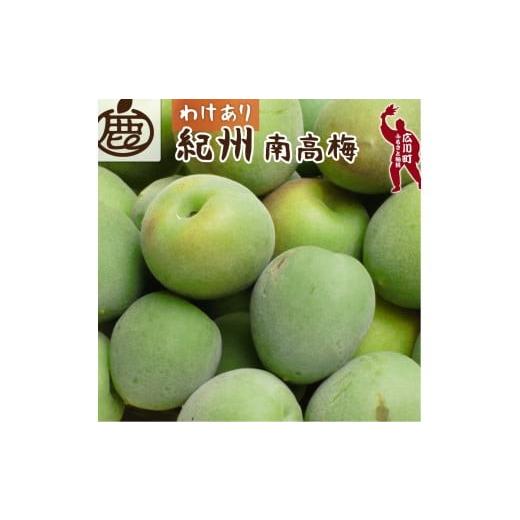 ふるさと納税 果物類 和歌山県 広川町 青梅 訳あり 南高梅 15kg+250g(痛み補償分) / 梅 梅ジュース 梅酒 梅干し 家庭用 和歌山 5月~6月発送予定 北海道・沖…