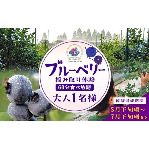 ふるさと納税 体験チケット 鹿児島県 南大隅町 鹿児島県の南国 南大隅町の農園で、ブルーベリー摘み取り体験 ブルーベリー摘み取り体験チケット (60分食べ放…