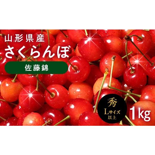 ふるさと納税 果物類 さくらんぼ 山形県 西川町 山形県産 さくらんぼ 佐藤錦 1kg 秀品 Lサイズ以上 バラパック詰め 果物 くだもの フルーツ サクランボ チェリ…