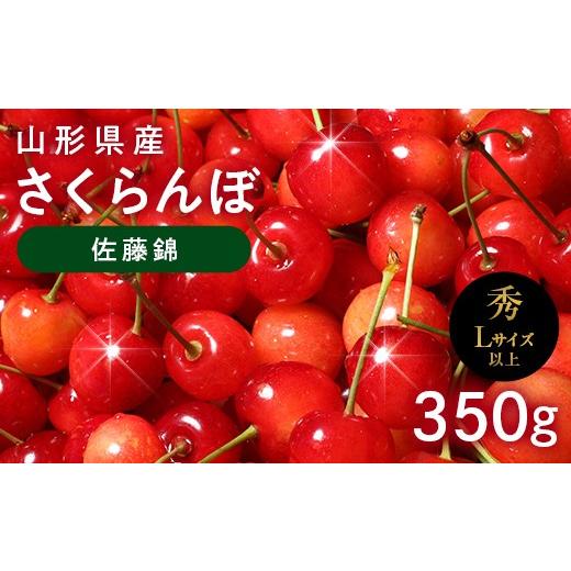 ふるさと納税 果物類 さくらんぼ 山形県 西川町 山形県産 さくらんぼ 佐藤錦 350g 秀品 Lサイズ以上 バラパック詰め 果物 くだもの フルーツ サクランボ チェ…