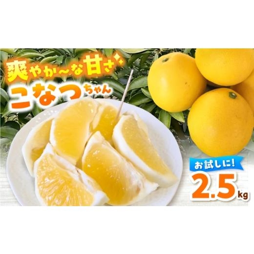 ふるさと納税 果物類 みかん 高知県 土佐市 「こなつちゃん」小夏2.5kg / 高知県土佐市産 柑橘 爽やか 土佐文旦産直協同組合