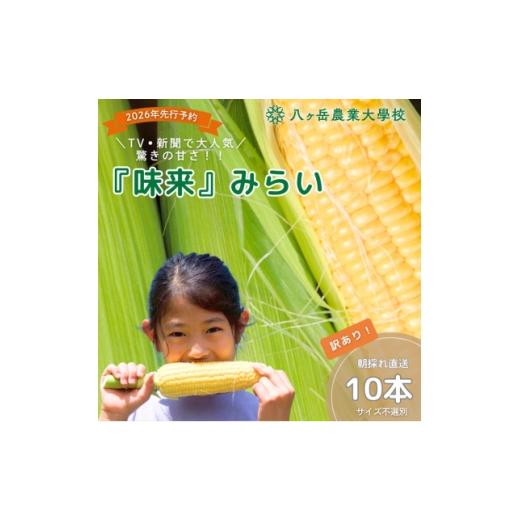 ふるさと納税 とうもろこし 長野県 茅野市 数量限定 訳あり フルーツのような甘さ『皮付き』生とうもろこし10本 2026年先行予約 1738515