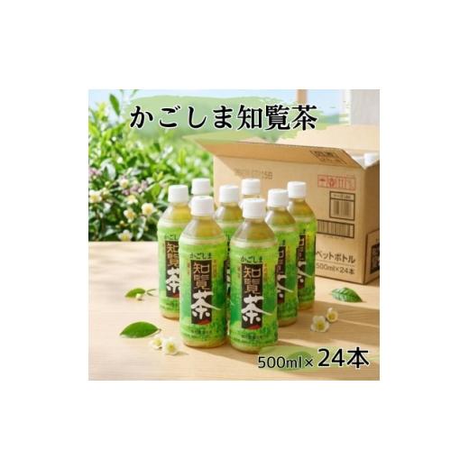 ふるさと納税 お茶類 鹿児島県 南九州市 かごしま知覧茶 500mlペットボトル×24本入り 1737642