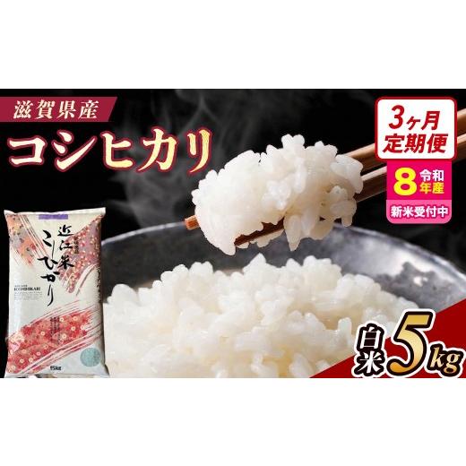 ふるさと納税 米 コシヒカリ 滋賀県 甲賀市 令和8年産 新米 先行予約 定期便 近江米コシヒカリ 5kgx3回定期便(精米) 2026年9月〜発送