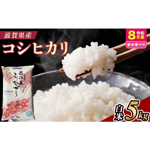 ふるさと納税 米 コシヒカリ 滋賀県 甲賀市 令和8年産 新米 先行予約 近江米コシヒカリ5kg(精米) 2026年9月〜発送
