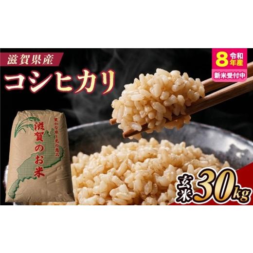 ふるさと納税 玄米 滋賀県 甲賀市 令和8年産 新米 先行予約 近江米コシヒカリ 30kg(玄米) 2026年9月〜発送