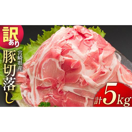 ふるさと納税 豚肉 宮崎県 新富町 配送月が選べる 小分けで便利 10パックでお届け 訳あり 宮崎県産 豚切落し 5kg 2026年10月にお届け C325-2506-202610 2026…