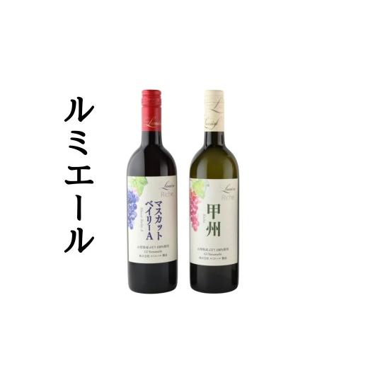 ふるさと納税 お酒 山梨県 笛吹市 ルミエール リーシェ甲州・リーシェマスカットベイリーA 2本セット 167-190