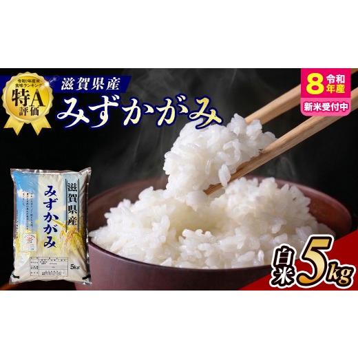 ふるさと納税 米 滋賀県 甲賀市 令和8年産 新米 先行予約 近江米みずかがみ 5kg(精米) 2026年9月〜発送