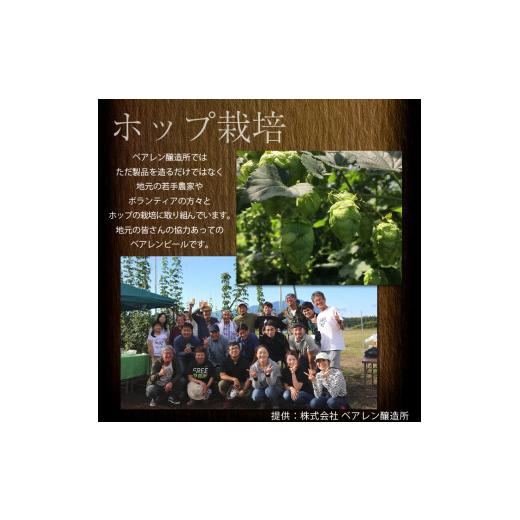 ふるさと納税 ビール 地ビール 岩手県 雫石町 ベアレンビール つなぐビール 350ml 24缶 ／ 岩手県産 稀少 希少 酒 お酒 ビール クラフトビール 地ビール 缶 缶…_7