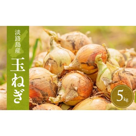 ふるさと納税 野菜類 玉ねぎ 兵庫県 洲本市 淡路島産玉ねぎ 5kg たまねぎ タマネギ 玉葱 吊り玉 秀品 野菜 新鮮 長持ち カレー シチュー バーベキュー スー…