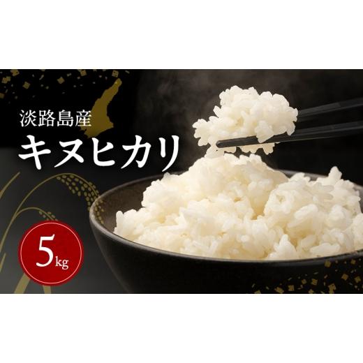 ふるさと納税 米 兵庫県 洲本市 淡路島産キヌヒカリ 5kg 米 コメ おこめ 精米 ごはん ライス 弁当 おにぎり 兵庫県 洲本市 淡路島  