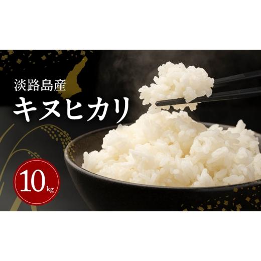 ふるさと納税 米 兵庫県 洲本市 淡路島産キヌヒカリ 10kg(5kg×2) 米 コメ おこめ 精米 ごはん ライス 弁当 おにぎり 兵庫県 洲本市 淡路島  