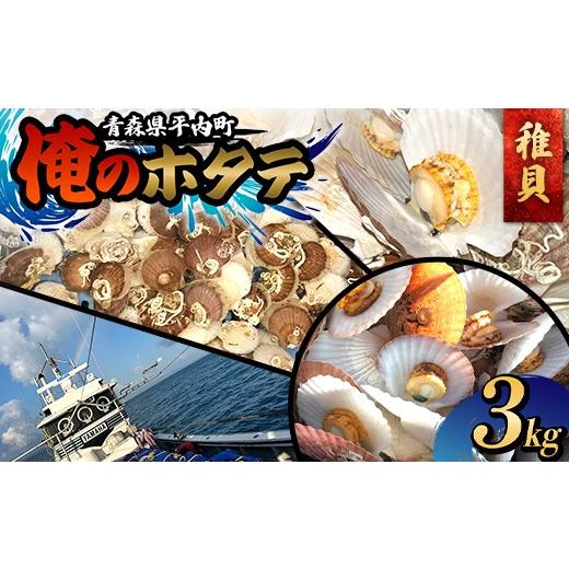 ふるさと納税 魚貝類 ホタテ 青森県 平内町 期間限定 「俺のホタテ」 極上 稚貝 3kg (90〜150枚) ほたて 帆立 活ホタテ 貝柱 殻付き 魚介類 魚貝類 東北 青…