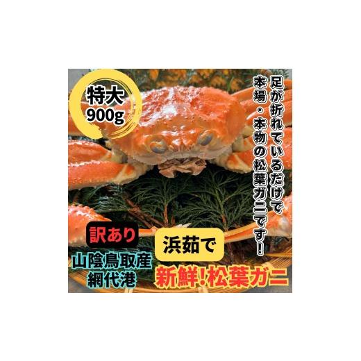 ふるさと納税 カニ 松葉ガニ 鳥取県 岩美町 <訳あり>浜茹で 松葉ガニ(特大)900kg 1枚 鳥取網代港 岩美 松葉がに ずわいがに かに お届けは2026年11月中…