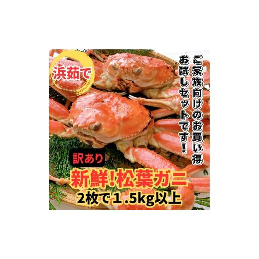 ふるさと納税 カニ 松葉ガニ 鳥取県 岩美町 <訳あり>浜茹で 松葉ガニ 1.5kgセット 鳥取網代港 岩美 松葉がに ずわいがに かに お届けは2026年11月中旬〜…