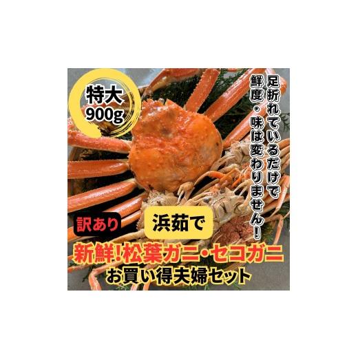 ふるさと納税 カニ 松葉ガニ 鳥取県 岩美町 <訳あり>浜茹で 松葉ガニ・セコガニセット|鳥取網代港 岩美 松葉がに ずわいがに かに お届けは2026年11月…