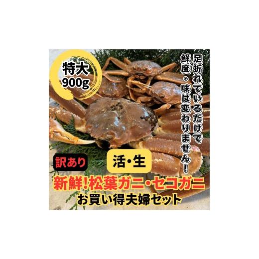 ふるさと納税 カニ 松葉ガニ 鳥取県 岩美町 <訳あり>活 松葉ガニ・セコガニセット|鳥取網代港 岩美 松葉がに ずわいがに かに お届けは2026年11月中旬…