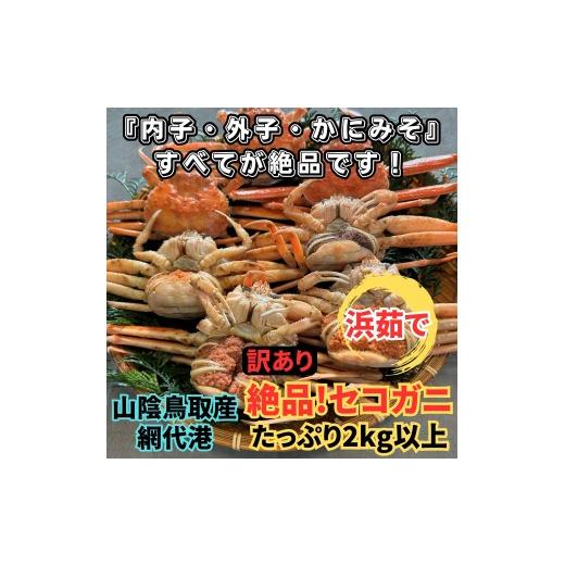 ふるさと納税 カニ 松葉ガニ 鳥取県 岩美町 <訳あり>浜茹で 絶品セコガニ2kgセット|鳥取網代港 岩美 松葉がに ずわいがに かに お届けは2026年11月中旬…