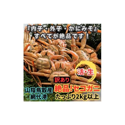ふるさと納税 カニ 松葉ガニ 鳥取県 岩美町 <訳あり>活 絶品セコガニ2kgセット|鳥取網代港 岩美 松葉がに ずわいがに かに お届けは2026年11月中旬〜 …