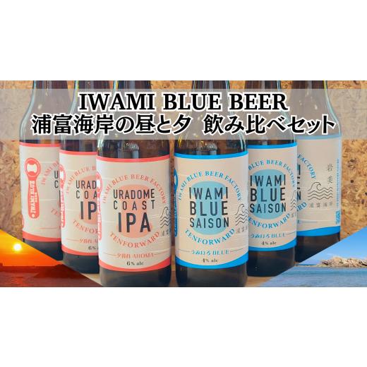 ふるさと納税 ビール 鳥取県 岩美町 IWAMI BLUE BEER 定番2種セット 6本(各3本)|鳥取 岩美町 クラフトビール お酒 ビール 51020
