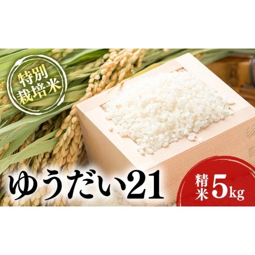 ふるさと納税 米 長野県 箕輪町 特別栽培米 「 ゆうだい21 」 精米 5kg  