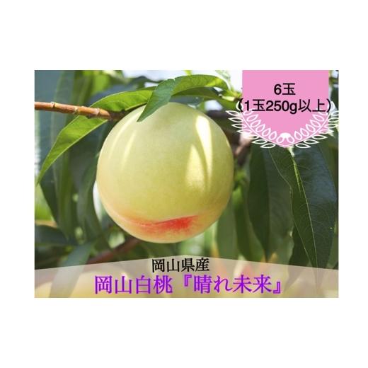 ふるさと納税 もも 岡山県 玉野市 桃 2026年 先行予約 白桃 6玉(1玉250g以上)化粧箱入り もも モモ 岡山県産 国産 フルーツ 果物 ギフト 早生