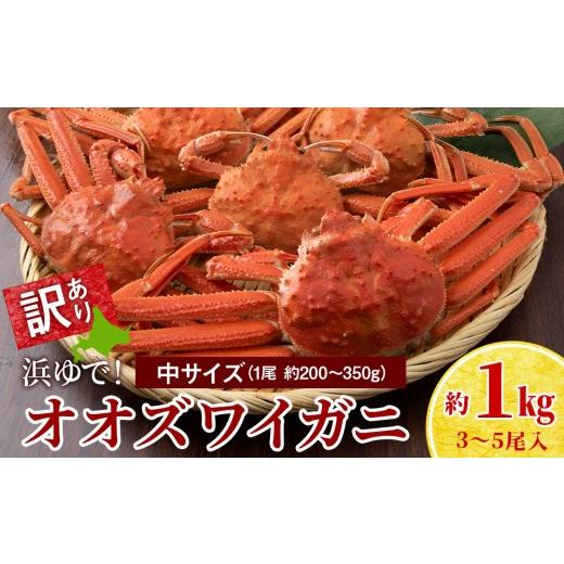 ふるさと納税 カニ 北海道 白老町 7営業日以内発送 訳あり オオズワイガニオス 中サイズ (約200-350g) 浜ゆで 1kg (3-5尾入)