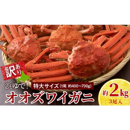 ふるさと納税 カニ 北海道 白老町 7営業日以内発送 訳あり オオズワイガニオス 特大サイズ (約400-700g) 浜ゆで 2kg (3尾入)