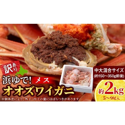 ふるさと納税 カニ 北海道 白老町 7営業日以内発送 訳あり オオズワイガニメス (約150-350g前後) 浜ゆで 2kg (5〜9尾入)